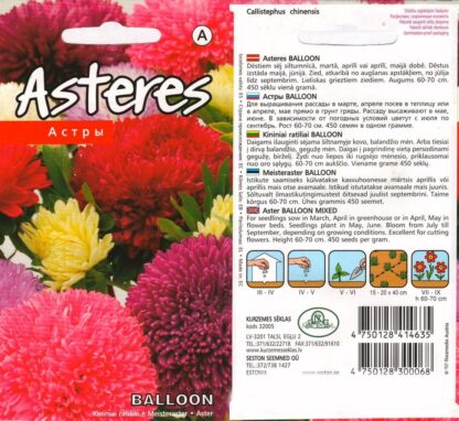 Aster-Balloon-Mix-Meisteraster