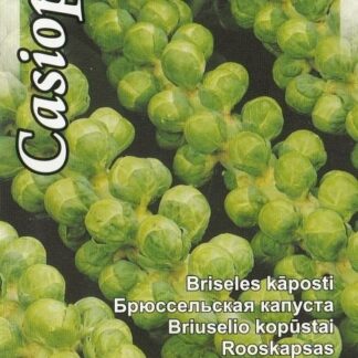 Bruesseli-kapsas-Casiopea-2g