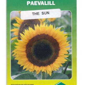 Paeevalill-The-Sun