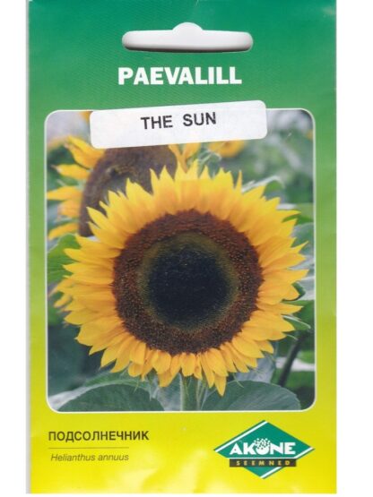 Paeevalill-The-Sun