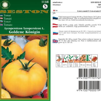 Tomat-Goldene-Koenigin