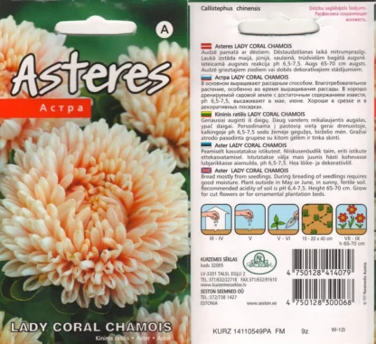 Aster-Lady-Coral-Chamois.