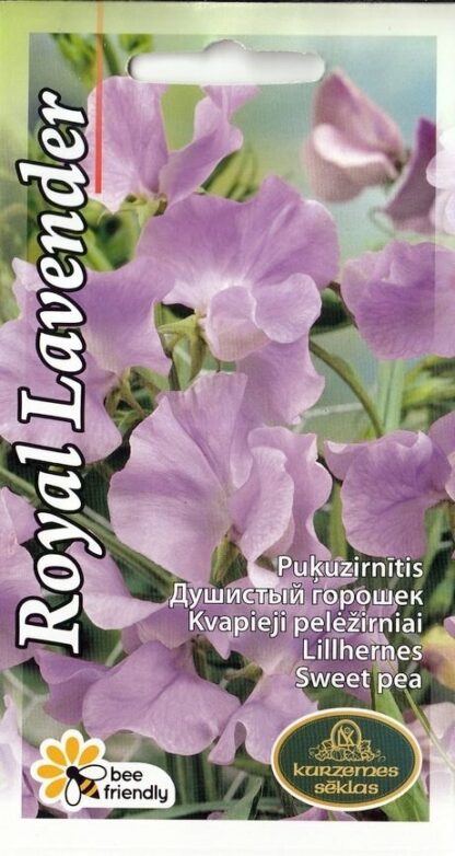 Lillhernes-Royal-lavender