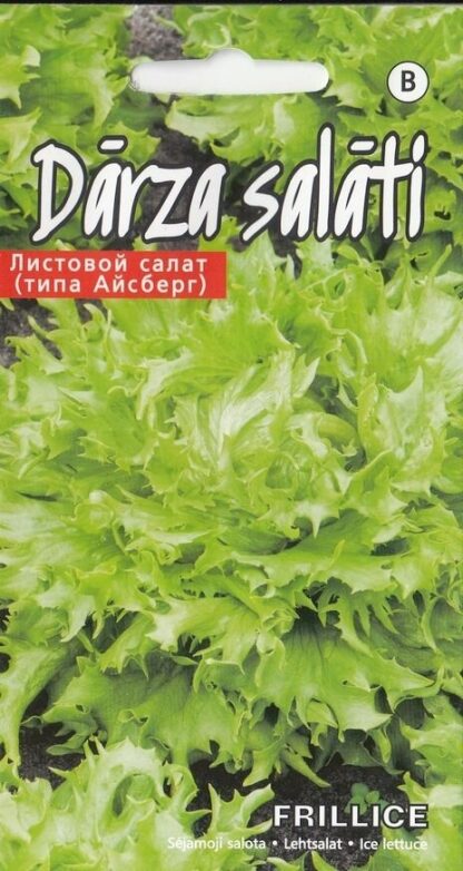 Salat-Frillice