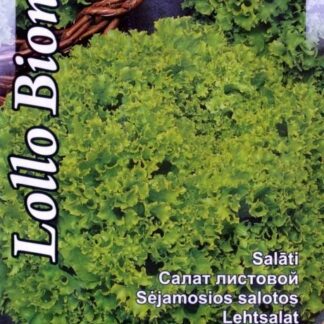 Salat-Lollo-Bionda