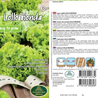 Salat-Lollo-Bionda-4m