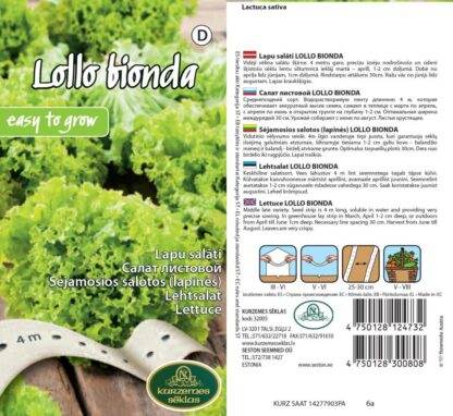 Salat-Lollo-Bionda-4m