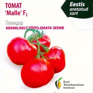 Tomat-Malle-F1-b